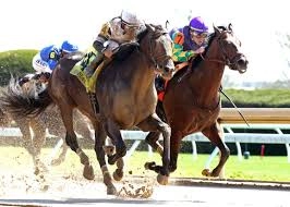 THRILLING LAFAYETTE STAKES VICTORY! TROU...