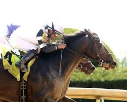 TROUBLE CALLING'S GRITTY LAFAYETTE TRIUMPH! COLT WEARS DOWN COMPETITION IN KEENELAND THRILLER!
